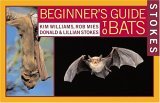 Beginner's Guide to Bats